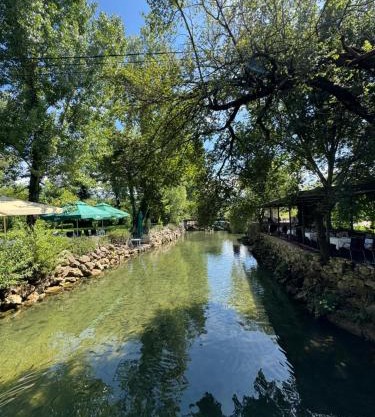 Nature View