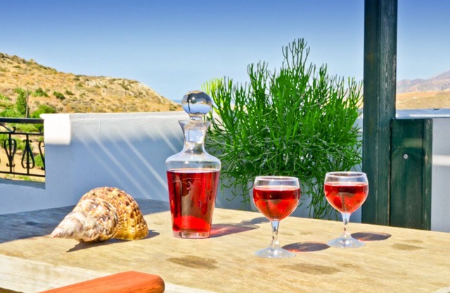 Naxos Agrotouristic apartment in a quiet village