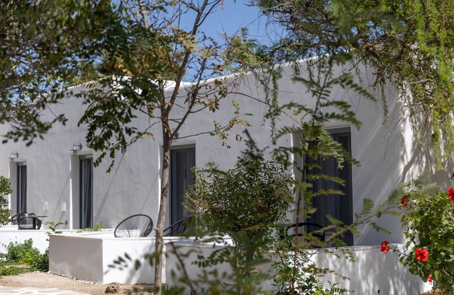 Naxos village