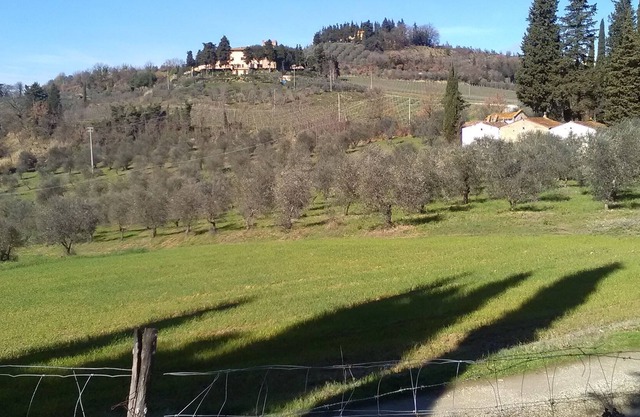 Near Florence, stone house from the 12th century with 100 sqm garden and WIFI