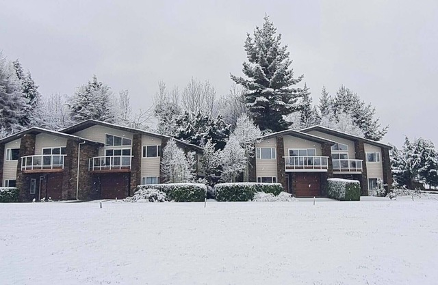 Near new property in Ohakune at the base of Ruapehu, ideal for family get aways