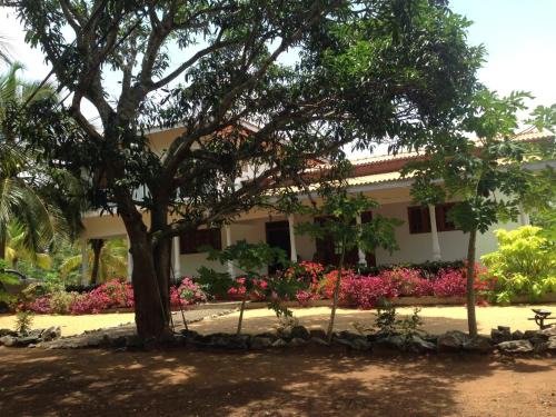Neem Tree Villa