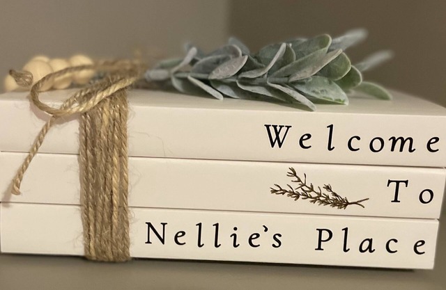 Nellie's Place- Quiet Mtn. Getaway with Scenic View, Wifi, & Community Amenities