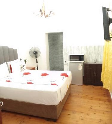 Neo & Ruks Guest Houses Boston Belleville 3