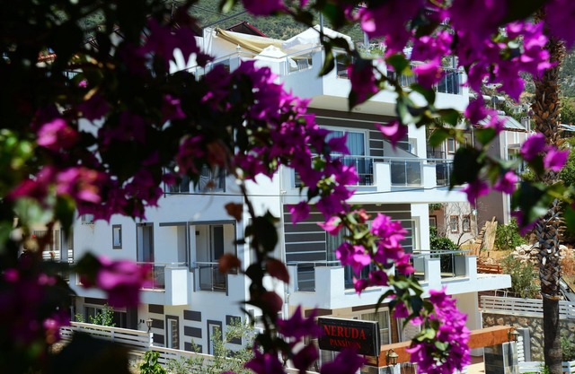 Neruda Hotel
