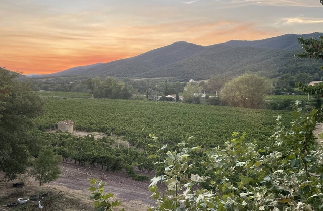 Nest close to the beaches in the heart of the Maures massif