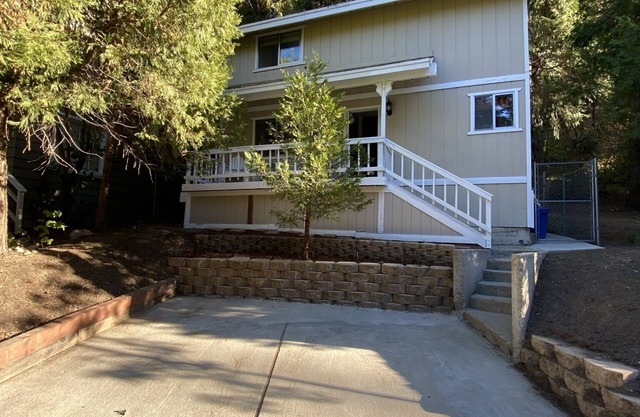 NEW! 2 Bedroom Cozy Cottage in the Trees Sleeps 6