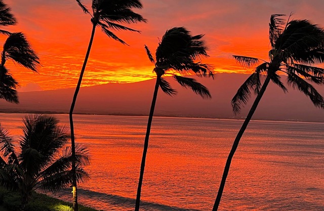 NEW DIRECT OCEANFRONT Paradise South Side Retreat! Quiet, Peaceful, Beachfrontn