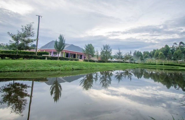 New Fort View Resort