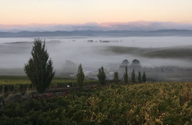 New Listing. Beautiful apartment in the middle of a Willamette Valley vineyard!