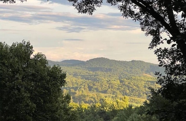 NEW LISTING! Beautiful Cabin with Mountain View in Fleetwood Falls