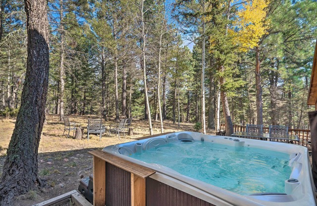 NEW! Listing Chalet Home Angel Fire