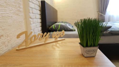 NEW Luxury Studio Apartment