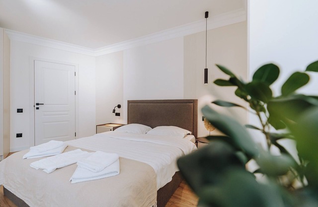 New Renovation 1BR with AC in Rascani