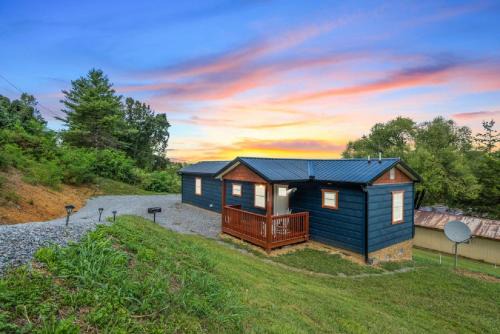 New Tiny Cabin! A Bearly Adventure
