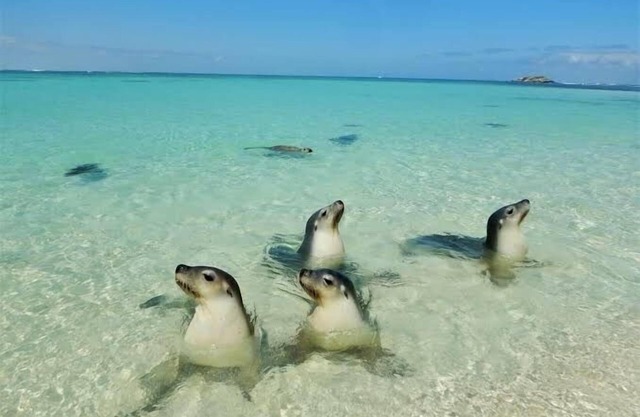 NEW Wi-Fi Boat Parking Pet Friendly