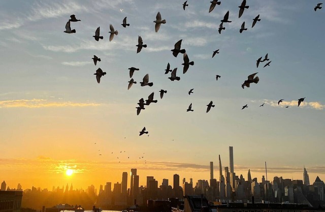 New York Skyline One of a Kind View