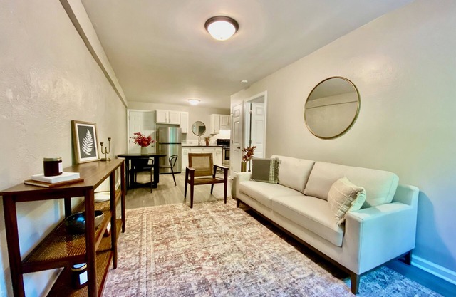 Newly Remodeled Furnished Apts - 1 bed, 2 bed, and studios