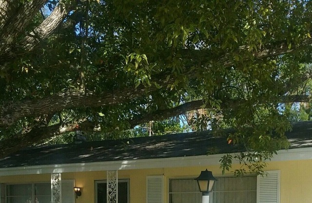Newly Renovated Centrally Located House on a Corner Lot