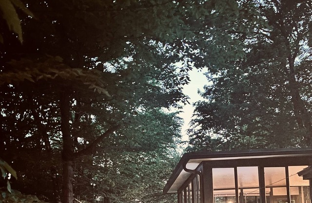 Next to Camelback SKI and lakes PoconoWoods cabin overlooking a forest