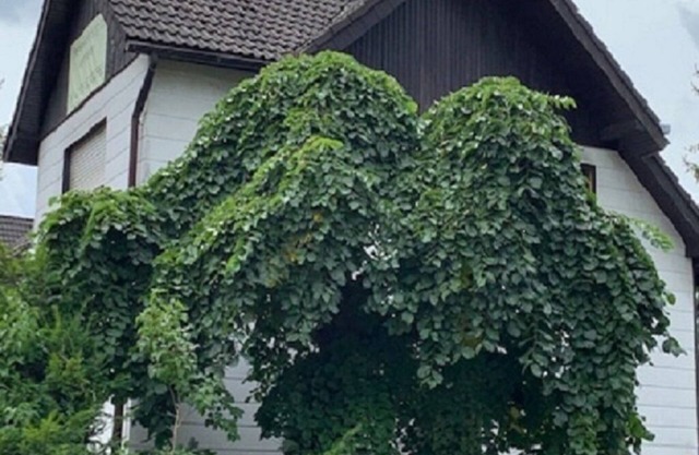 Nice apartment!