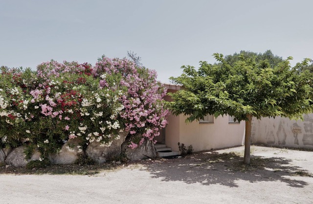 Nice little villa ideal to enjoy the south of Corsica quiet