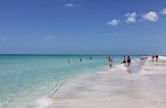 Nice studio near Anna Maria Island, IMG Academy, UTC Mall, Lecom Park