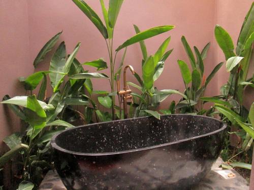 Ninh Binh Nature Homestay
