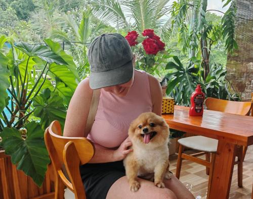 Ninh Binh Peaceful Retreat