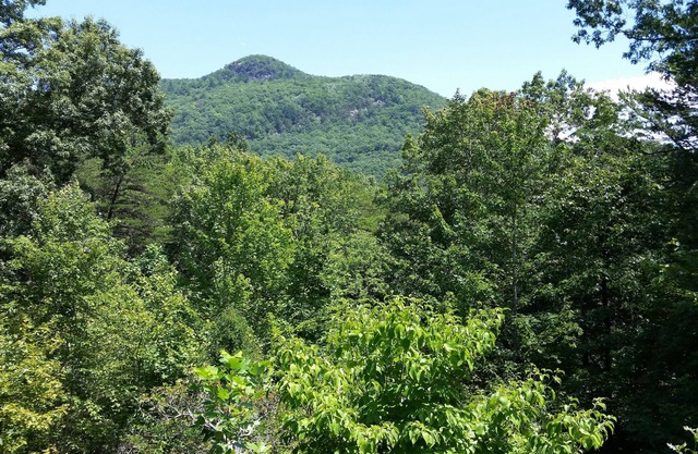 North Georgia Mountain Place