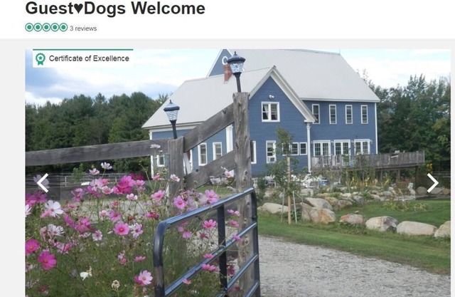 Nothing Beats Summer in Maine on 7 Acres in Maine - Dogs Welcome! Work Remotely