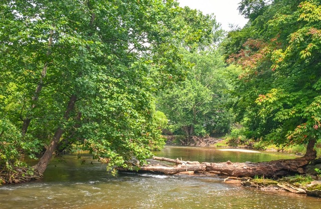 NOW BOOKING RIVER OTTER COTTAGE! 2BR/1BA ON THE NEW RIVER W/FIREPIT AND WIFI