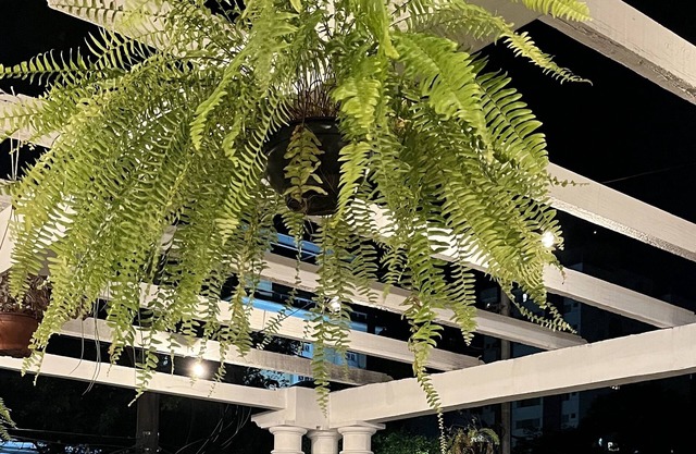 Nuh Hostel - Lourdes