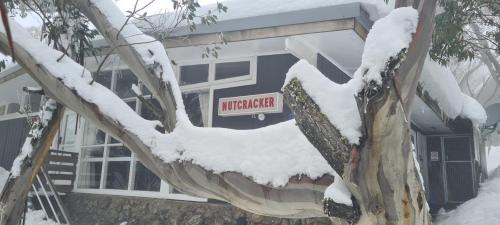 Nutcracker Ski Club