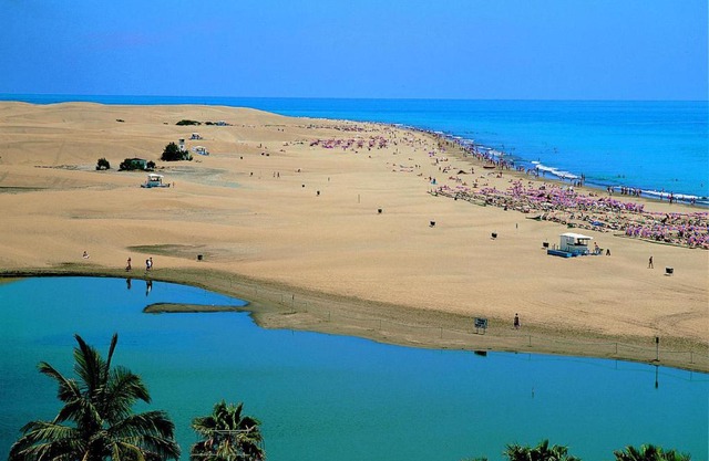 Oasis Playa Maspalomas