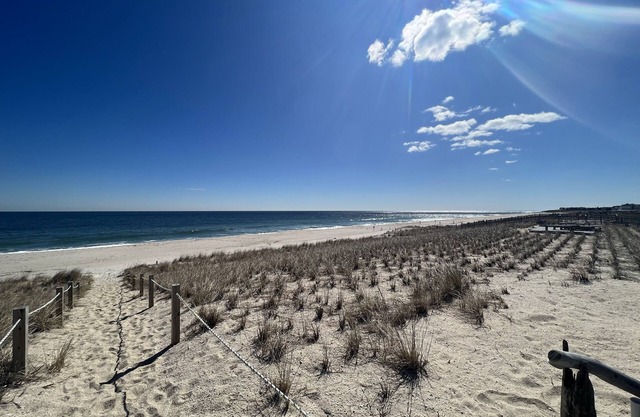 Ocean View Cottage w/Shared "Private" Beach #1