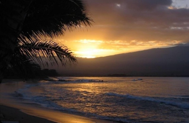 Oceanfront Charmer: Our Surf - Your Lullaby