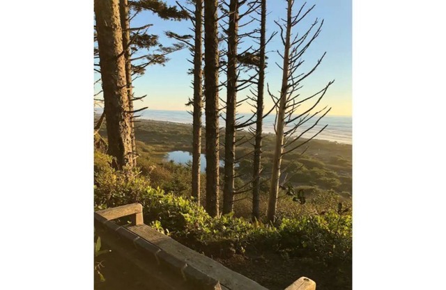 Oceanfront Olympic Cabin— Secluded & Vast (2BR)