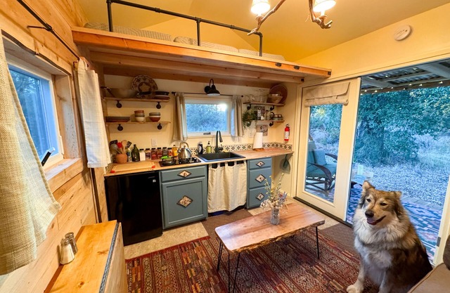 Off Grid Petfriendly sanctuary surrounded by ancient oaks with fenced yard.