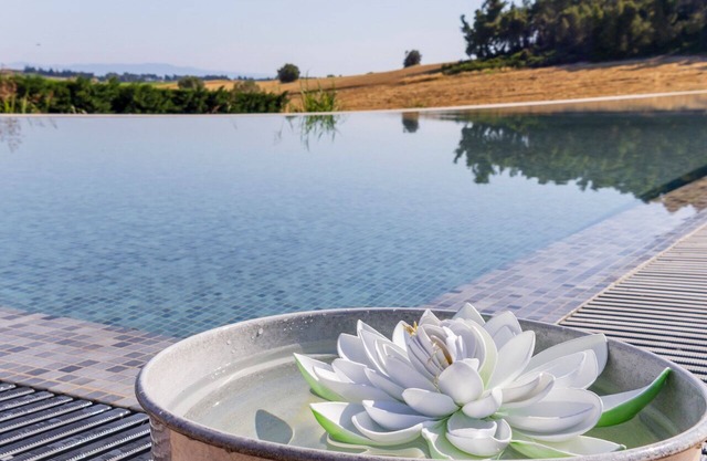 Oikos Sani Suites ❤️ Live the perfect summer experience near the best beaches