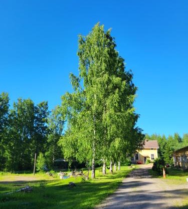 Old village school