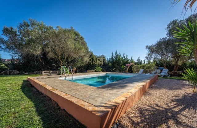 Olive House