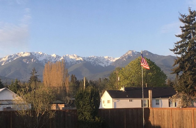 Olympic Mountains and Ocean view