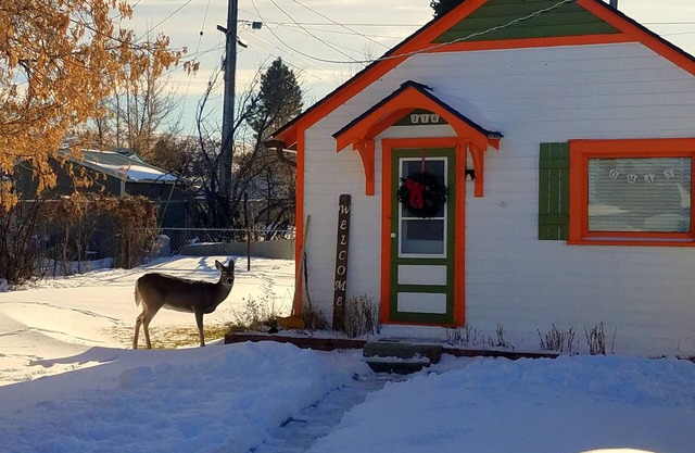 Oma's 1890 Cottage with Hot Tub & Sauna in Red Lodge Montana