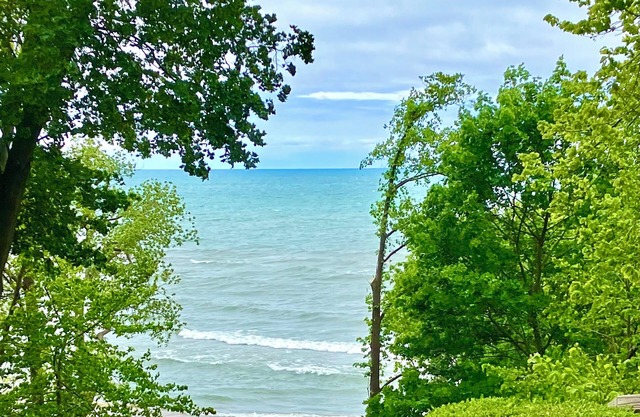 ON LAKE MICHIGAN WITH PRIVATE BEACH. First week of June discount!