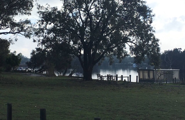 On the Banks of the Serpentine River