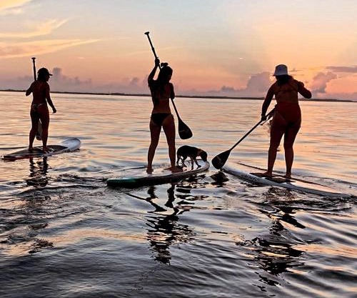 ON THE BEACH SURFERS SUNRISE HAVEN 3