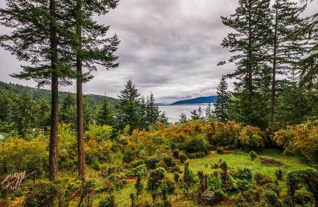 Orcas Island, Sea Acres Lodge #266