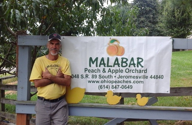 Orchard Retreat Malabar Peach & Apple Orchard. Peaceful and Pet Friendly