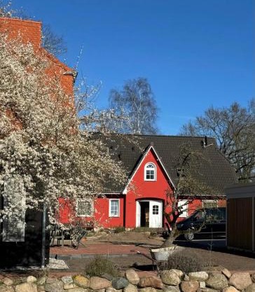 Ostseedomizil "Ankerbuk", Ferienwohnung Möwe